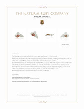 2.93 Ct. Ruby and Natural Diamond Accent Stones Brooch, 18K White Gold Appraisal