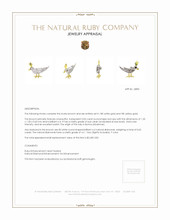 0.05 Ct. Ruby Natural Diamond Accent Stones Brooch, 18K White & Yellow Appraisal