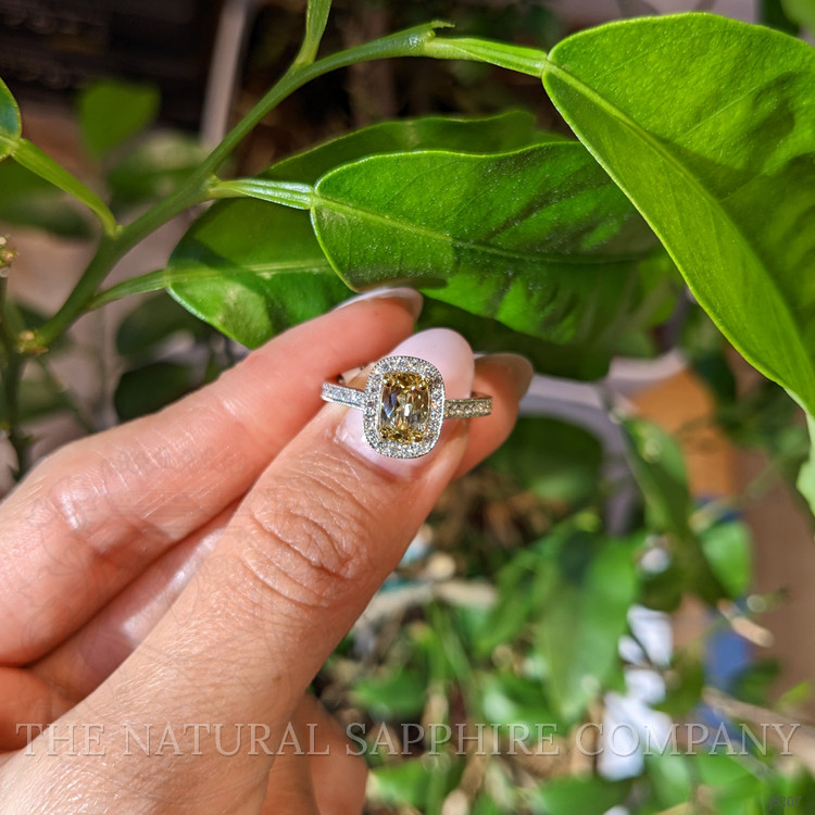 1.10 Ct. Yellow Sapphire and Natural Diamond Pave Ring, 14K White & Yellow