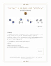 1.95 Ct.Tw. Blue Sapphire and Natural Diamond Halo Earrings, 18K White Gold Appraisal