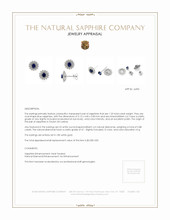 1.23 Ct.Tw. Blue Sapphire and Natural Diamond Halo Earrings, 18K White Gold Appraisal