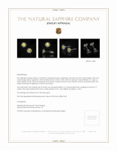 0.60 Ct.Tw.Total Carat Weight Yellow Sapphire and Natural Diamond Studs Earrings, 18K White Gold Appraisal