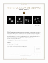 0.45 Ct.Tw. White Sapphire and Natural Diamond Pave Earrings, 18K White Gold Appraisal