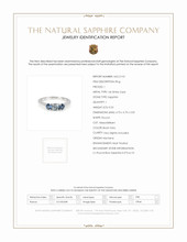 0.53 Ct. Bluish Grey Sapphire and Blue Sapphire Three Stone Ring, 14K White Gold Scan Report
