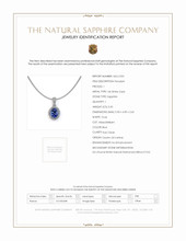 0.45 Ct. Blue Sapphire and Natural Diamond Pave Pendant, 14K White Gold Scan Report