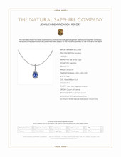 0.60 Ct. Blue Sapphire and Natural Diamond Pave Pendant, 18K White Gold Scan Report