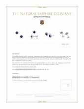 1.00 Ct.Tw. Blue Sapphire and Natural Diamond Halo Earrings, 14K White Gold Appraisal