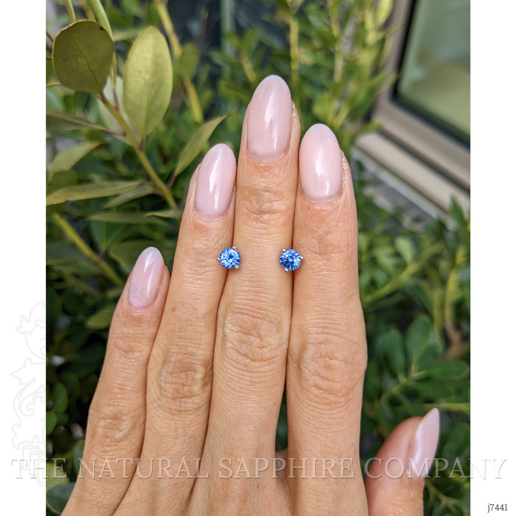 0.90 Ct.Tw. Blue Sapphire Studs Earrings, 14K White Gold