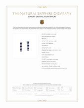 0.34 Ct.Tw.Total Carat Weight Blue Sapphire and Natural Diamond Pave Earrings, 14K White Gold Scan Report