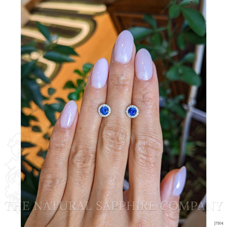 0.75 Ct.Tw. Blue Sapphire and Natural Diamond Pave Earrings, 18K White Gold