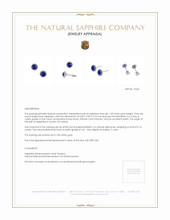 1.20&nbsp;Ct.Tw.Total Carat Weight Blue Sapphire and Natural Diamond Studs Earrings, 18K White Gold Appraisal