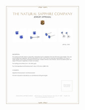 0.85 Ct.Tw. Blue Sapphire Studs Earrings, 14K White Gold Appraisal