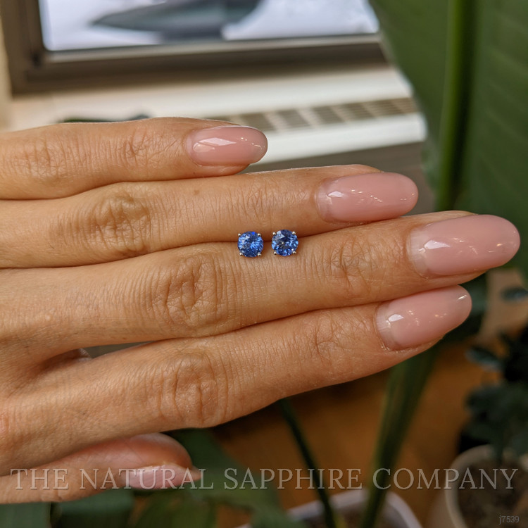 0.85 Ct.Tw. Blue Sapphire Studs Earrings, 14K White Gold