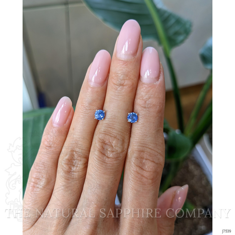 0.85 Ct.Tw. Blue Sapphire Studs Earrings, 14K White Gold