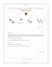 0.80 Ct.Tw. Pink Sapphire Studs Earrings, 14K White Gold Appraisal