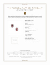 0.50 Ct.Tw. Padparadscha Sapphire and Natural Diamond Pave Earrings, 14K White Gold Scan Report