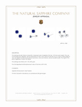 1.00&nbsp;Ct.Tw.Total Carat Weight Blue Sapphire Studs Earrings, 14K White Gold Appraisal