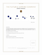 0.75 Ct.Tw.Total Carat Weight Blue Sapphire Studs Earrings, 14K White Gold Appraisal