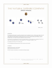 1.00 Ct.Tw.Total Carat Weight Blue Sapphire and Natural Diamond Pave Earrings, 18K White Gold Appraisal