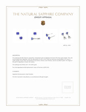 0.90 Ct.Tw.Total Carat Weight Blue Sapphire Studs Earrings, 14K White Gold Appraisal