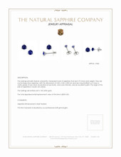 0.75 Ct.Tw. Blue Sapphire Studs Earrings, 14K White Gold Appraisal