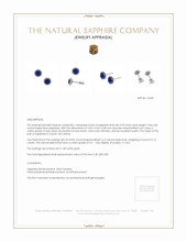 1.00&nbsp;Ct.Tw.Total Carat Weight Blue Sapphire and Natural Diamond Pave Earrings, 18K White Gold Appraisal