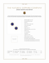 0.75 Ct.Tw. Blue Sapphire and Natural Diamond Pave Earrings, 18K Yellow Gold Scan Report