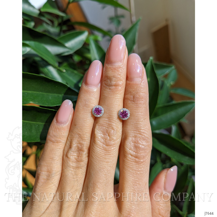 0.65 Ct.Tw. Pink Sapphire and Natural Diamond Pave Earrings, 18K White Gold