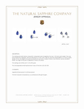 1.60 Ct.Tw.Total Carat Weight Blue Sapphire Studs Earrings, 14K White Gold Appraisal