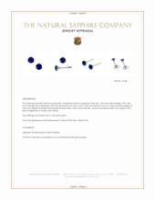 1.00 Ct.Tw.Total Carat Weight Blue Sapphire Studs Earrings, 14K White Gold Appraisal