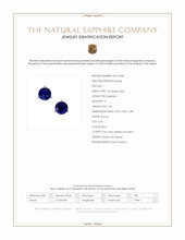 1.00 Ct.Tw.Total Carat Weight Blue Sapphire Studs Earrings, 14K White Gold Scan Report