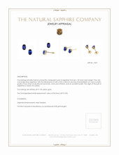 1.00 Ct.Tw.Total Carat Weight Blue Sapphire Studs Earrings, 14K Yellow Gold Appraisal