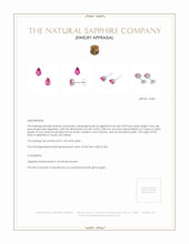 0.90 Ct.Tw. Pink Sapphire Studs Earrings, 14K White Gold Appraisal