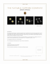 0.45 Ct.Tw. Yellow Sapphire and Natural Diamond Pave Earrings, 18K White Gold Appraisal