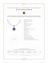 0.32 Ct. Blue Sapphire and Natural Diamond Pave Pendant, 18K White Gold Scan Report