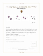 0.85&nbsp;Ct.Tw.Total Carat Weight Pink Sapphire and Natural Diamond Pave Earrings, 18K White Gold Appraisal