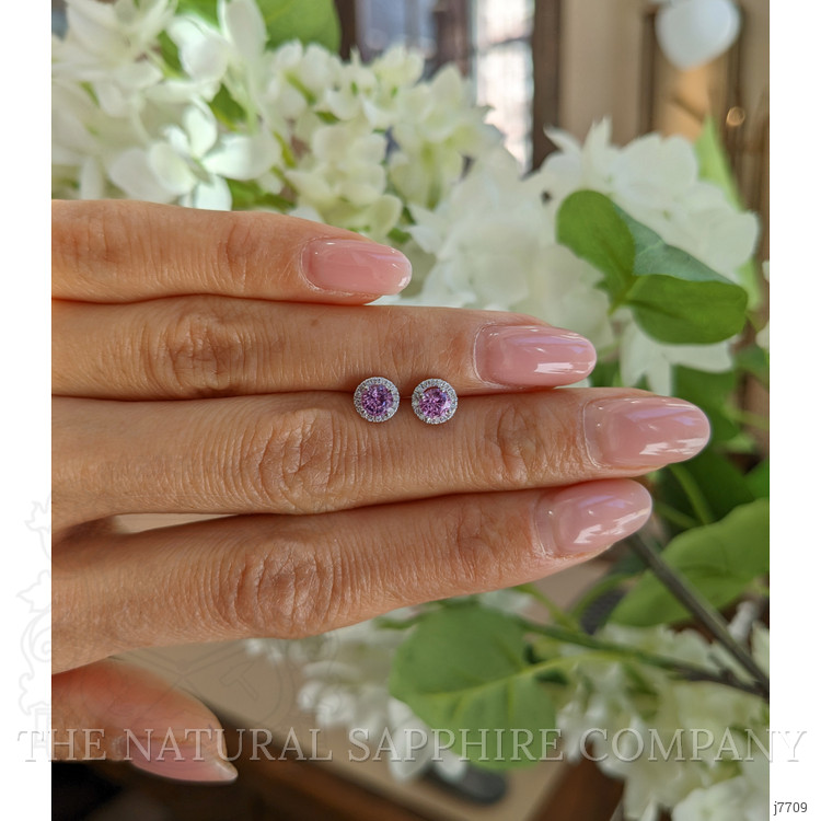 0.65 Ct.Tw. Pink Sapphire and Natural Diamond Pave Earrings, 18K White Gold