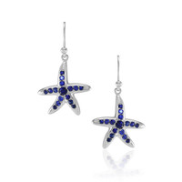 1.20 Ct.Tw. Sapphire Silver earring