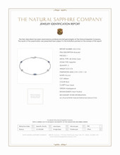 0.26 Ct.Tw. Blue Sapphire and Natural Diamond Pave Bracelet, 18K White Gold Scan Report