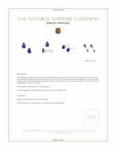 1.00&nbsp;Ct.Tw.Total Carat Weight Blue Sapphire Studs Earrings, 14K White Gold Appraisal