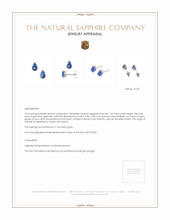 1.00&nbsp;Ct.Tw.Total Carat Weight Blue Sapphire Studs Earrings, 14K White Gold Appraisal