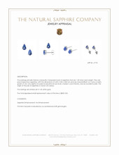 1.00 Ct.Tw.Total Carat Weight Blue Sapphire Studs Earrings, 14K White Gold Appraisal
