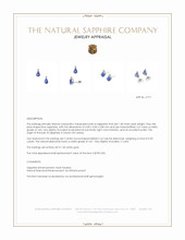 1.00 Ct.Tw.Total Carat Weight Blue Sapphire and Natural Diamond Studs Earrings, 14K White Gold Appraisal