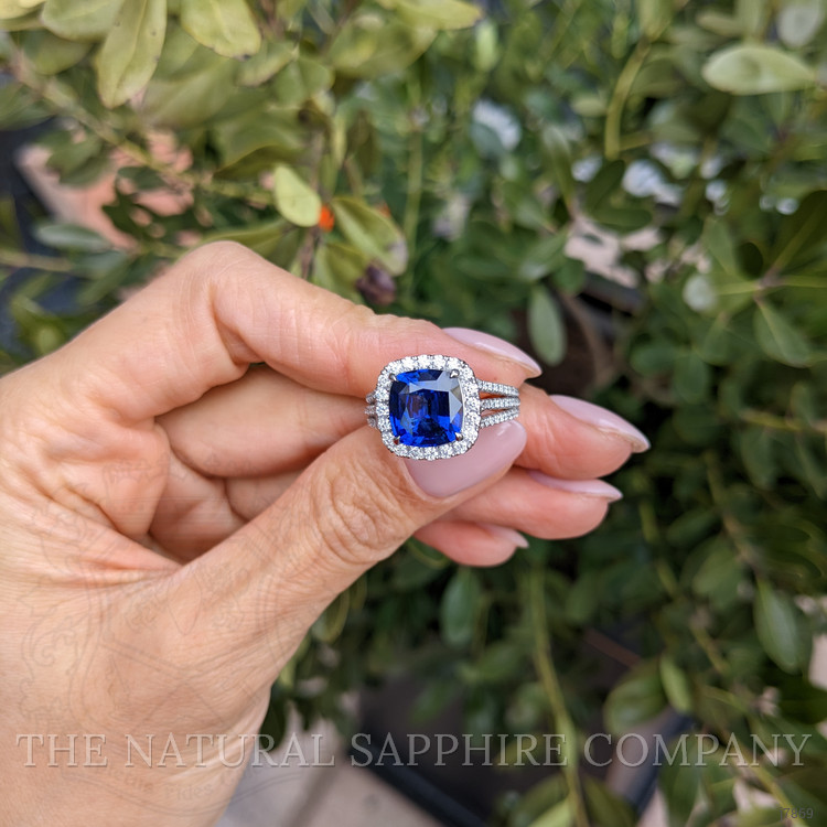 4.11 Ct. Blue Sapphire and Natural Diamond Pave Ring, Platinum 950