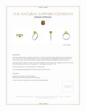 1.53 Ct. Yellow Sapphire and Natural Diamond Pave Ring, 14K White & Yellow Appraisal