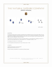 0.55&nbsp;Ct.Tw.Total Carat Weight Blue Sapphire and Natural Diamond Pave Earrings, 14K White Gold Appraisal