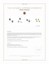 0.55 Ct.Tw.Total Carat Weight Blue Sapphire and Natural Diamond Pave Earrings, 14K Yellow Gold Appraisal