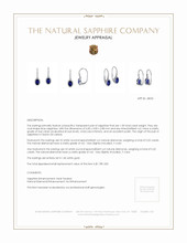 1.00 Ct.Tw.Total Carat Weight Sapphire Natural Diamond Pave Earrings, 14K White Gold Appraisal