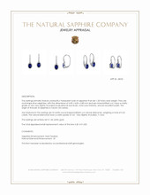 1.00 Ct.Tw.Total Carat Weight Blue Sapphire and Natural Diamond Pave Earrings, 14K White Gold Appraisal