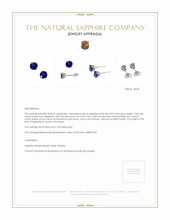 1.00 Ct.Tw.Total Carat Weight Sapphire Studs Earrings, 14K White Gold Appraisal